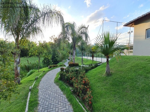 Imagem 30 de 30 de Terreno - Te00025 - 69445626