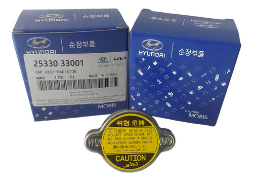 Tapa De Radidor Hyundai Getz Elantra 1.6 2.0  Accent 0.9 L