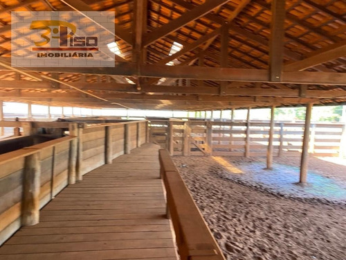 Imagem 14 de 15 de Fazenda Em Centro - Jales - 1815