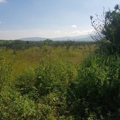Terreno En Venta En Ojo Seco, Junto A Campus Industrial Celaya, Celaya, Guanajuato