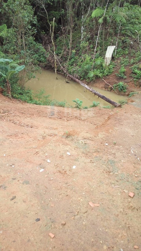 Imagem 29 de 30 de Chácara Rural A Venda Em Ilhota/sc - 1684c