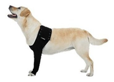 Suitical Dog Recovery Manga Grande Negro