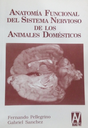 Pellegrino Anatomía Del Sistema Nervioso Animales Domésticos
