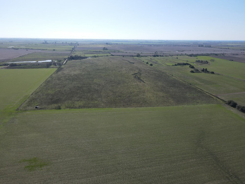 Campo En Venta De 35 Has Agrícolas, Sauce Sur - Mansilla.