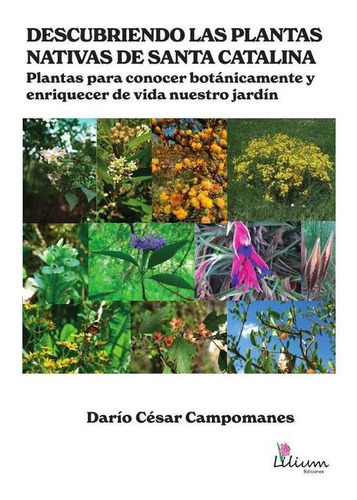 Descubriendo Las Plantas Nativas De Santa Catalina, De Darío César Campomanes. Editorial Ediciones Lilium, Tapa Blanda En Español, 2022