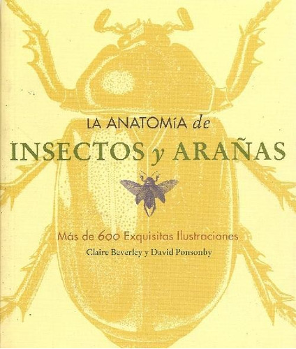 Libro La Anatomia De Insectos Y Arañas De Claire Beverly Dav