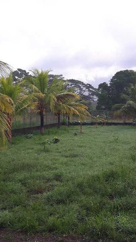 Imagen 13 de 13 de Finca Los Malavares Yaracuy