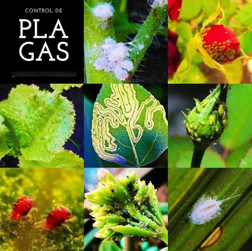 Jabón Potásico Insecticida Ecológico 1 Litro