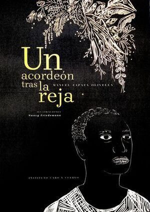 Libro Un Acordeón Tras La Reja