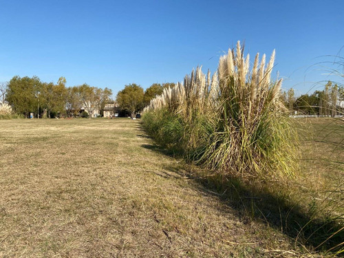 Venta Lotes En Ibarlucea - Barrio Cerrado Las Casuarinas - Entrega Inmediata