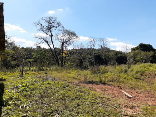 Imagem 12 de 30 de Fazenda A Venda No Bairro Colônia Murici Em São José Dos - 5836-1