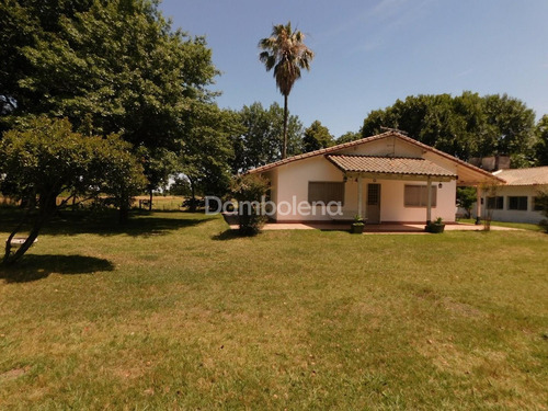 Imagen 4 de 22 de Terreno Campo En Venta Ubicado En General Rodríguez, G.b.a. Zona Oeste