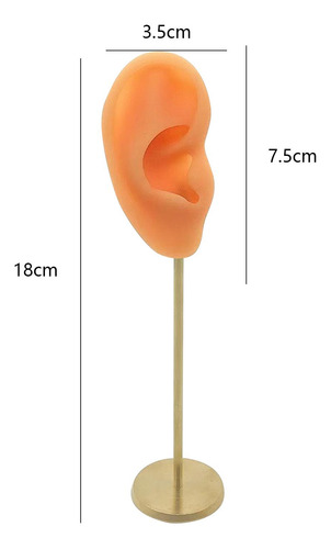 Soporte De Exhibición De Aretes, Piel Normal Derecha