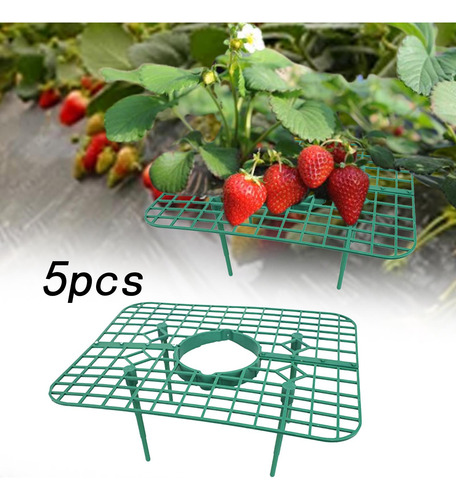 5x Soportes Para De Fresa, Soporte Para , Marco De Soporte