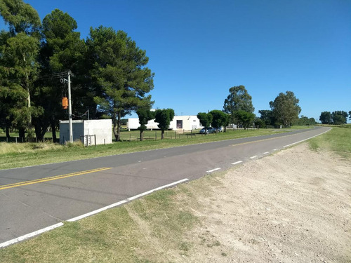 Terrenos En Venta - 4800mts2 - Rolon