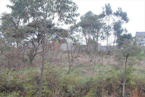 Imagem 4 de 7 de Terreno, Chácara Do Solar Ii (fazendinha), Santana De Parnaíba - R$ 504.000,00, 0m² - Codigo: 97100 - V97100