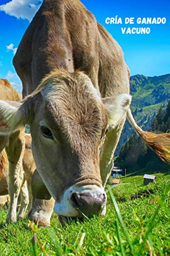 Cria De Ganado Vacuno: Cuaderno De Registro | Lleva Un Contr