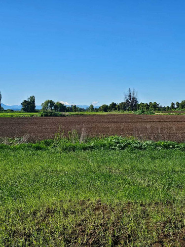 Parcelas En San Gregorio (92608)