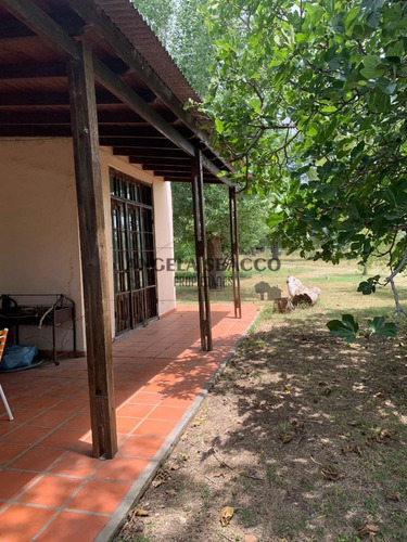 Imagen 7 de 30 de Hermoso Campo De 5 Hectáreas