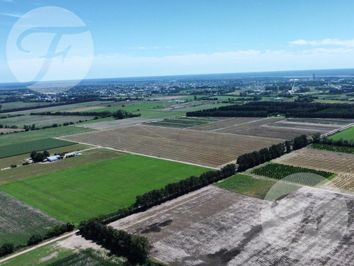 San Pedro (ba) I Campo 100% Agrícola