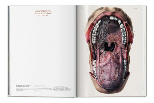 Atlas Of Human Anatomy And Surgery - Por J. M. Bourgery - Anatomia - Livro Importado Edição Grande - Inglês Francês - Editora Taschen - Capa Dura - 1a Edição