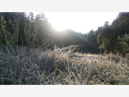 Imagen 8 de 12 de Terreno En Venta Mineral Del Monte Centro