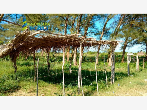 Imagen 1 de 12 de Terreno En Venta Tamiahua