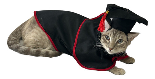 Disfraz De Graduado Para Mascotas Talla 1