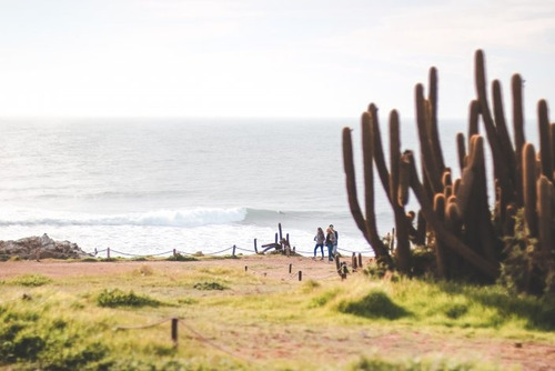 Pionero - Mirador Punta De Lobos