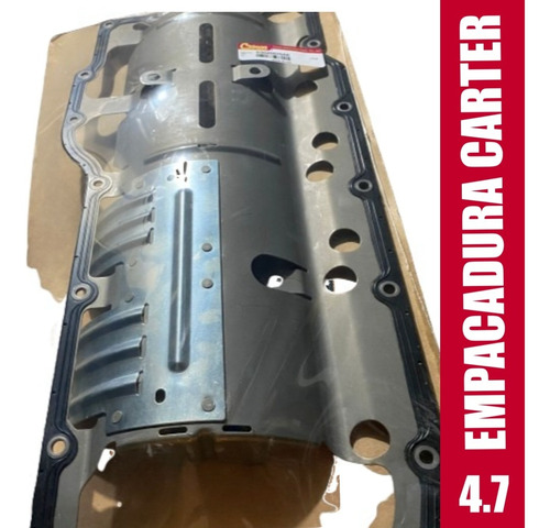 Empacadura Carter Grand Cherokee Wj Wk 1999-2010 Dakota Ram