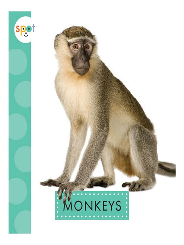 Monkeys - Alissa Thielges. Eb07