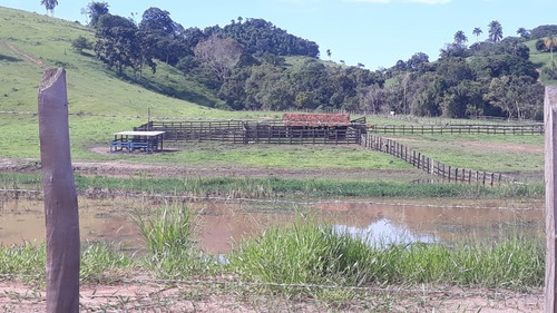 Imagem 23 de 30 de Vendo Fazenda Dupla Aptidao Regiao De Poços De Caldas (6176 )