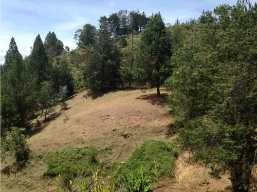Lote En Venta En Envigado