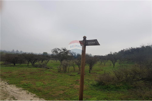 Sector Los Laureles - Terreno En Limache 5000 Mt