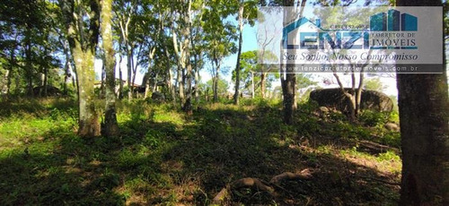 Imagem 12 de 25 de Sítios À Venda Em Toledo/mg - Compre O Seu Sítios Aqui! - 1491448