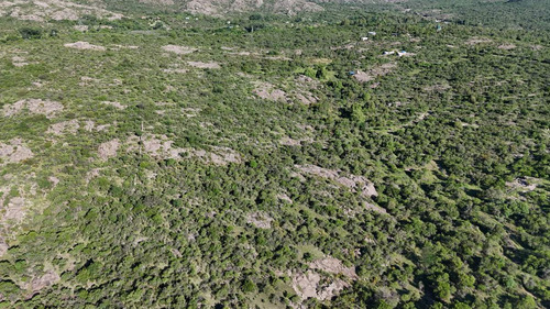 Campo En Venta En Nono, Los Algarrobos