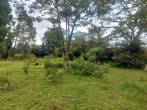 Lotes En Venta Llanogrande 743-7717