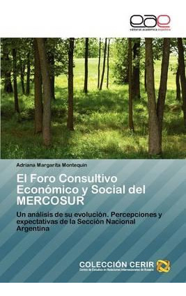 Libro El Foro Consultivo Economico Y Social Del Mercosur ...