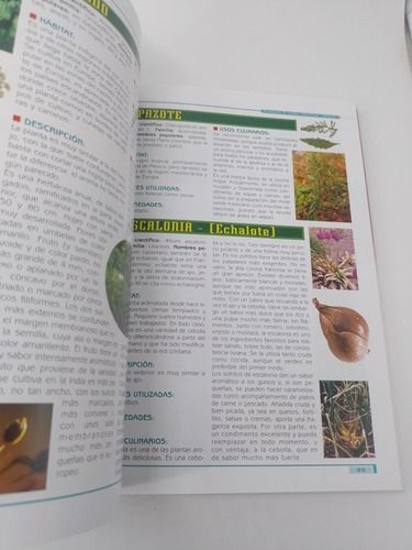 Saborizantes Y Saludables Las Hierbas Aromáticas Barone (Usado)