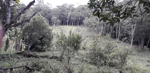Chácara Com 6.000m2 E Casa Nova De 125m2 Em Cipó Guaçu-linda