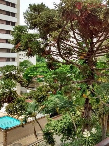 Imagem 6 de 7 de Apartamento Para Venda Centro, Campinas - Ap00838