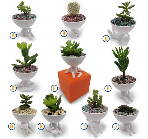 Imagen 2 de 9 de 11 Macetas De Hombrecitos Cactus/suculenta Robert Plant