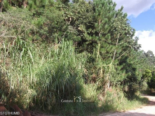 Imagem 5 de 10 de Terreno Condomínio San Fernando Valley - Te0129-1