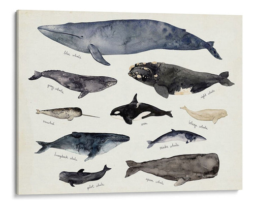 Canvas Lab Cuadro Gráfico De Ballenas Iii 40x30