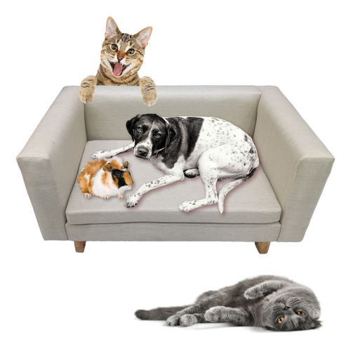 Sillon Sofa Perros Gatos Mascotas Comodo Elegante Lindo 