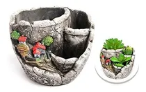 Comprar Macetas Para Plantas Suculentas, 5.3 Plantas Suculentas Cact