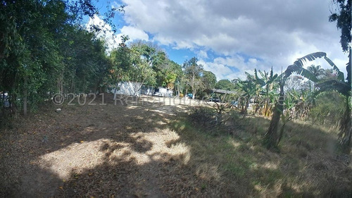 Imagen 24 de 30 de &&& Finca En Venta En Nirgua Yaracuy Rah 23-17575 // Invierta Seguro Con Rentahouse//