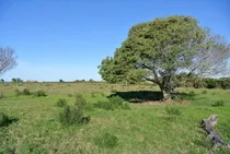 Comprar Quinta En Venta  En Punta Negra (ref: Atm-5747)