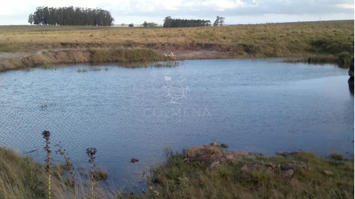 Campo De 35 Has Buen Suelo Con Tajamar, Cañada Agua Permante Y Casa. 