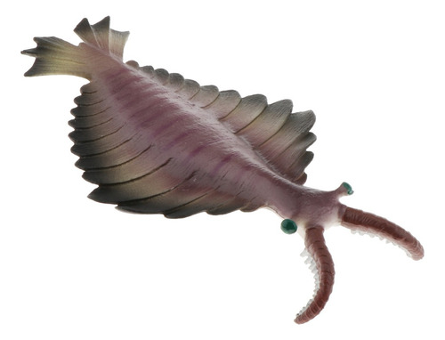 Juguetes Realistas De Animales Marinos Anomalocaris